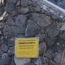 Частный дом престарелых «Забота и Уют» на ул. Выборгская фото